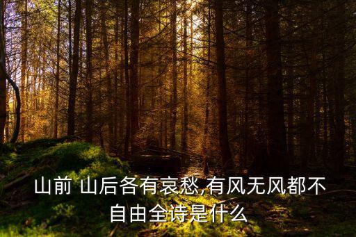  山前 山后各有哀愁,有風無風都不自由全詩是什么