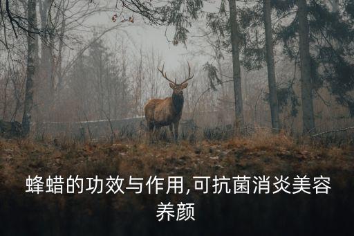 蜂蠟有什么用,饑荒聯(lián)機(jī)版蜂蠟有什么用