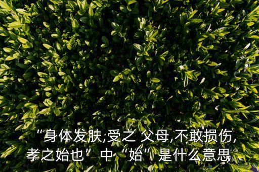 受之父母的前一句是什么,身體發(fā)膚,受之父母,不敢毀傷,孝之始也的意思