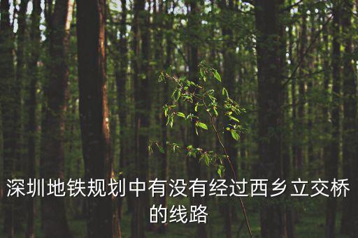 深圳地鐵規劃中有沒有經過西鄉立交橋的線路