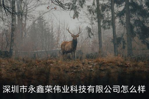 深圳榮德偉業電子有限公司怎么樣，深圳市永鑫榮偉業科技有限公司怎么樣