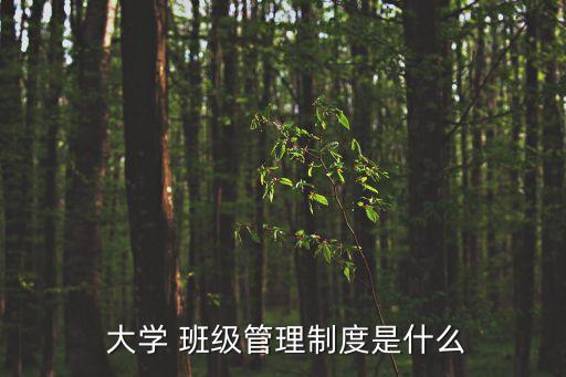 大學班級