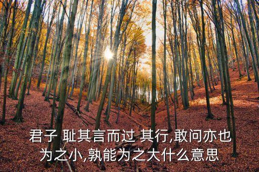  君子 恥其言而過 其行,敢問亦也為之小,孰能為之大什么意思