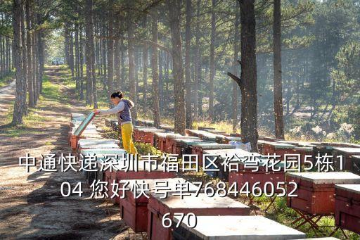 中通快遞深圳市福田區袷彎花園5棟104 您好快號單768446052670