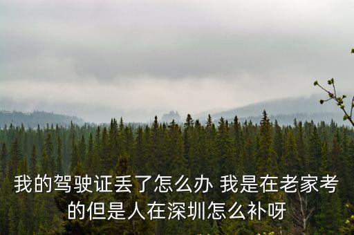 我的駕駛證丟了怎么辦 我是在老家考的但是人在深圳怎么補呀