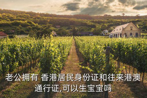老公擁有 香港居民身份證和往來(lái)港澳通行證,可以生寶寶嗎