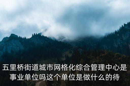 五里橋街道城市網格化綜合管理中心是事業單位嗎這個單位是做什么的待