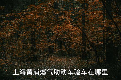 上海黃浦燃?xì)庵鷦?dòng)車驗(yàn)車在哪里