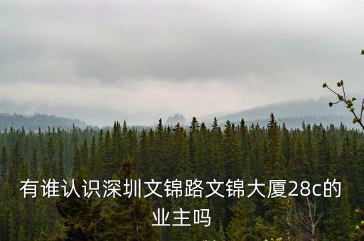 有誰認(rèn)識(shí)深圳文錦路文錦大廈28c的業(yè)主嗎