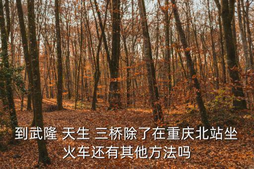 到武隆 天生 三橋除了在重慶北站坐火車還有其他方法嗎