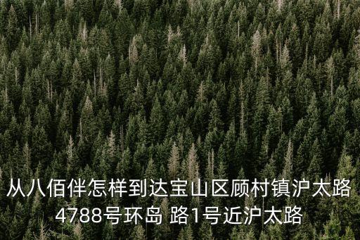 從八佰伴怎樣到達(dá)寶山區(qū)顧村鎮(zhèn)滬太路4788號(hào)環(huán)島 路1號(hào)近滬太路