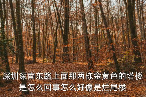 深圳深南東路上面那兩棟金黃色的塔樓是怎么回事怎么好像是爛尾樓