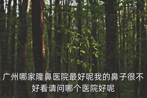 廣州哪家隆鼻醫院最好呢我的鼻子很不好看請問哪個醫院好呢