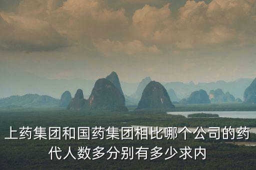 上藥集團和國藥集團相比哪個公司的藥代人數多分別有多少求內