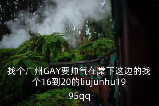 找個廣州GAY要帥氣在棠下這邊的找個16到20的liujunhu1995qq