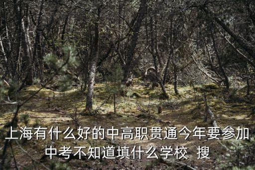 上海有什么好的中高職貫通今年要參加中考不知道填什么學校  搜