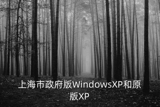 上海市政府網頁，上海市政府網