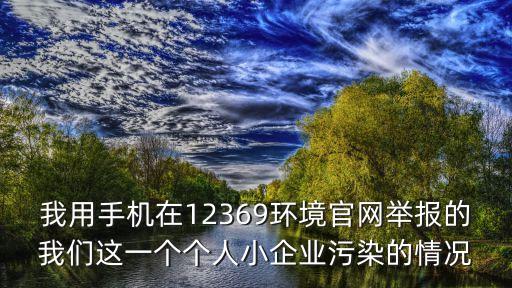 我用手機(jī)在12369環(huán)境官網(wǎng)舉報(bào)的我們這一個(gè)個(gè)人小企業(yè)污染的情況