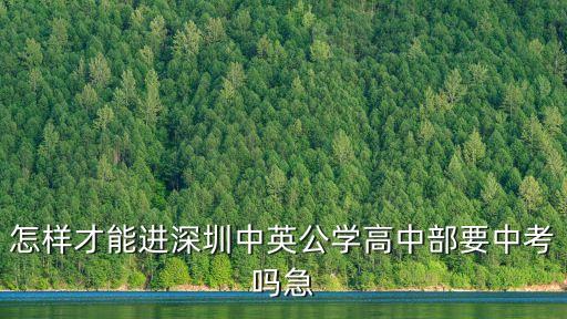 深圳中英公學國際部，深圳市中英公學是國際學校嗎