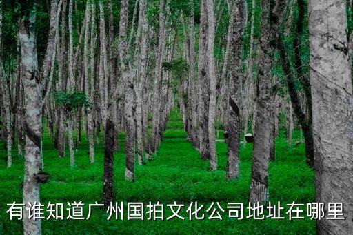 有誰知道廣州國拍文化公司地址在哪里