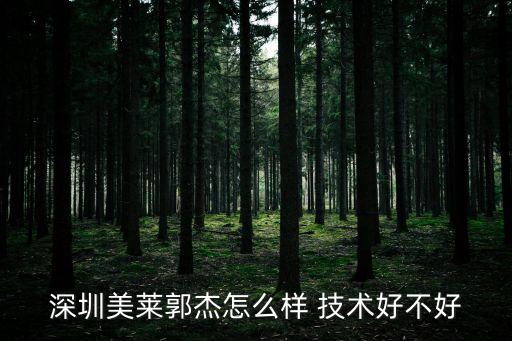深圳美萊郭杰怎么樣 技術(shù)好不好