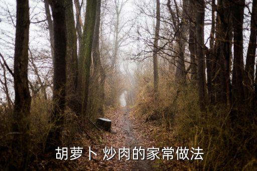  胡蘿卜 炒肉的家常做法