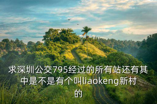 求深圳公交795經(jīng)過(guò)的所有站還有其中是不是有個(gè)叫l(wèi)iaokeng新村的