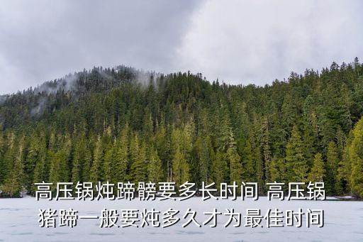 高壓鍋燉豬蹄