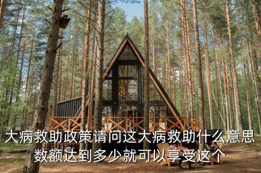 政府大病補助政策深圳，大病補助新政策