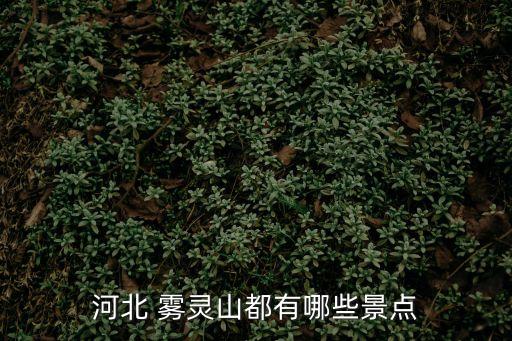 承德霧靈山