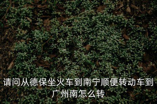 請問從德保坐火車到南寧順便轉動車到廣州南怎么轉