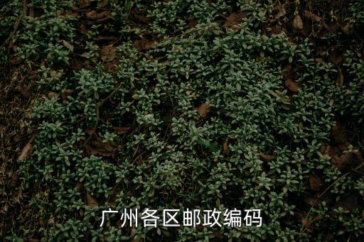 廣州區8，廣州各區郵政編碼