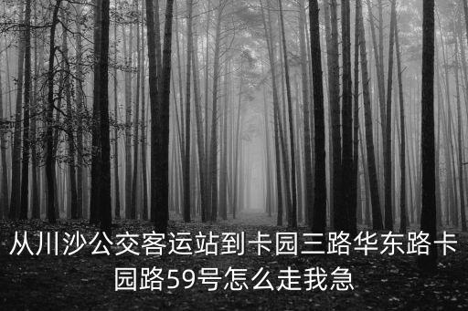 從川沙公交客運站到卡園三路華東路卡園路59號怎么走我急