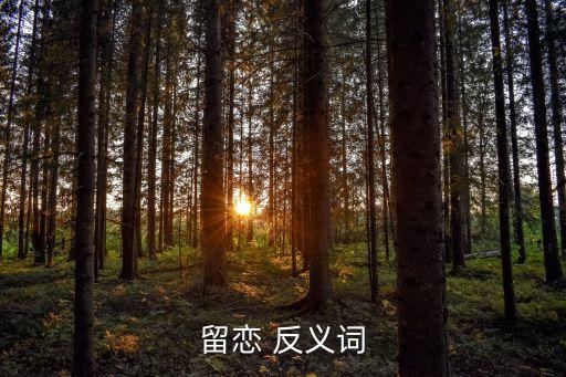 留戀 反義詞