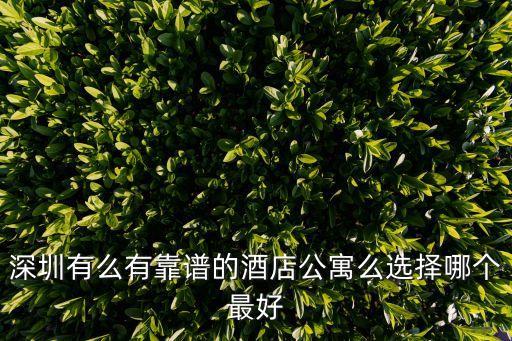 深圳袋鼠媽媽酒店公寓，誰知道深圳最好的酒店式公寓