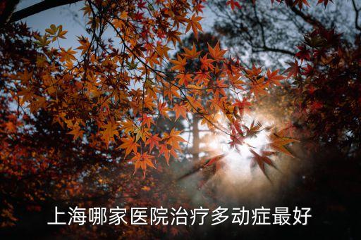 上海市多動癥醫院好，上海治療多動癥的好的醫院有沒有
