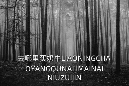 去哪里買奶牛LIAONINGCHAOYANGQUNALIMAINAINIUZUIJIN