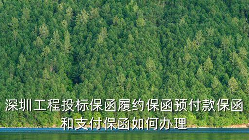 深圳工程投標保函履約保函預付款保函和支付保函如何辦理