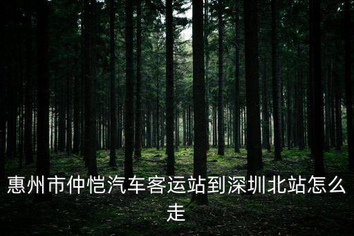 惠州市仲愷汽車客運站到深圳北站怎么走