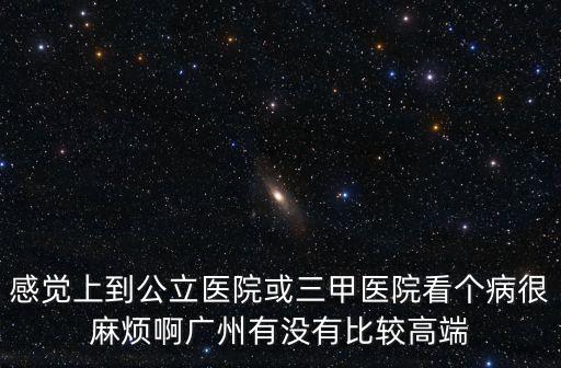 感覺上到公立醫院或三甲醫院看個病很麻煩啊廣州有沒有比較高端