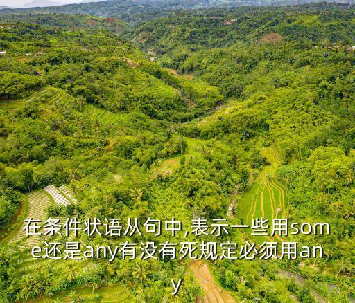 bany,選擇題:any與anyother的區(qū)別