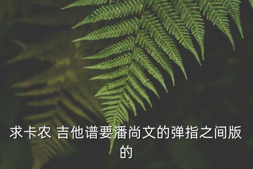 明天過后吉他譜