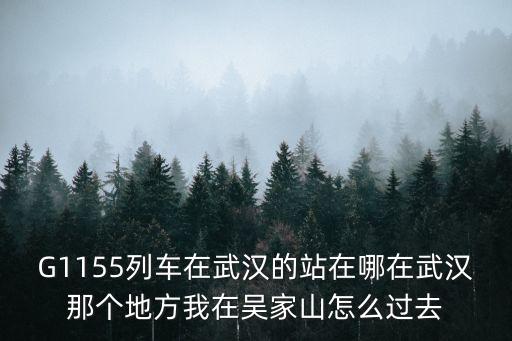 G1155列車在武漢的站在哪在武漢那個地方我在吳家山怎么過去