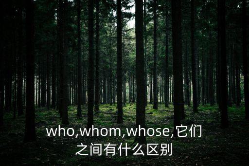 who的賓格