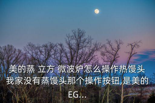 美的蒸立方微波爐