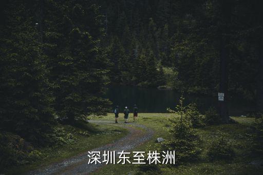 深圳到株洲那趟有座位，從深圳到株洲坐什么車最好