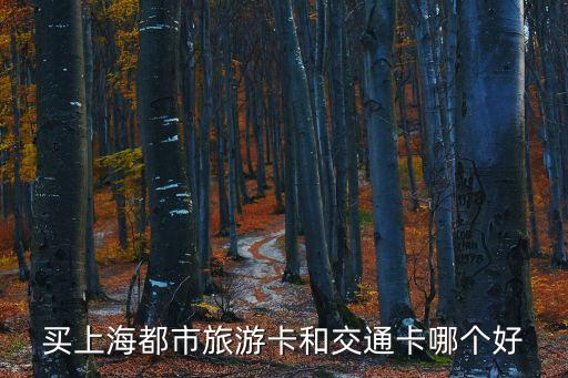 買上海都市旅游卡和交通卡哪個好