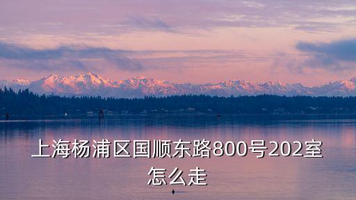 上海市楊浦區國順東路800，乘幾號地鐵或公交可以到上海楊浦區國順東路800號藝術園區或周圍