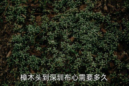 樟木頭到深圳布心需要多久