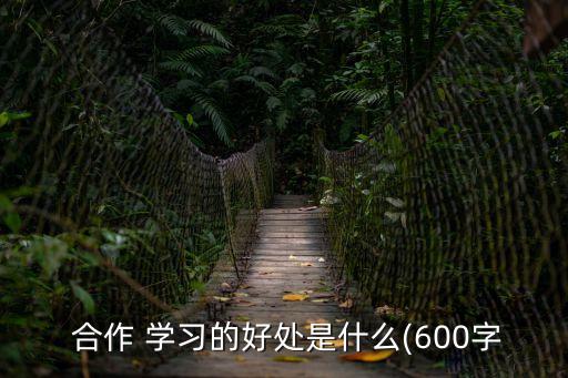 小組合作學(xué)習(xí)的好處